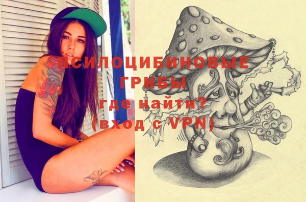 apvp Покровск