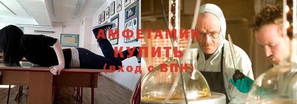 молекула духа Пересвет