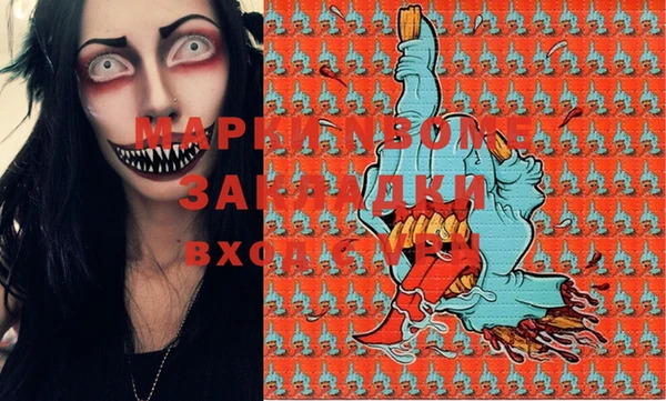 индика Переславль-Залесский