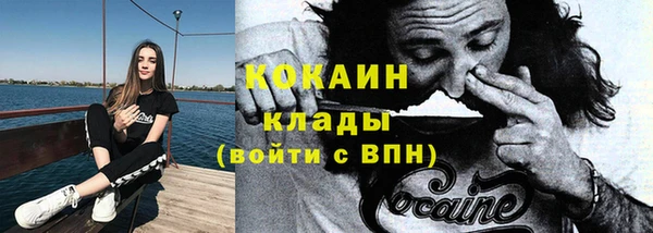 молекула духа Пересвет