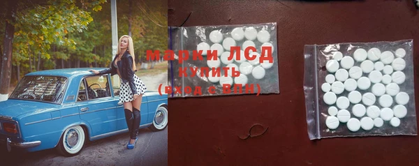 молекула духа Пересвет