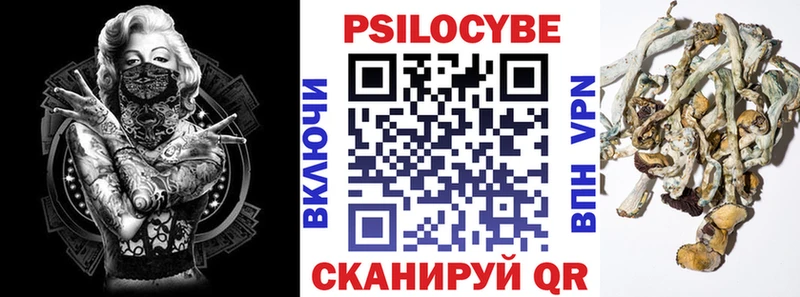 Псилоцибиновые грибы прущие грибы  Купить  Игра 